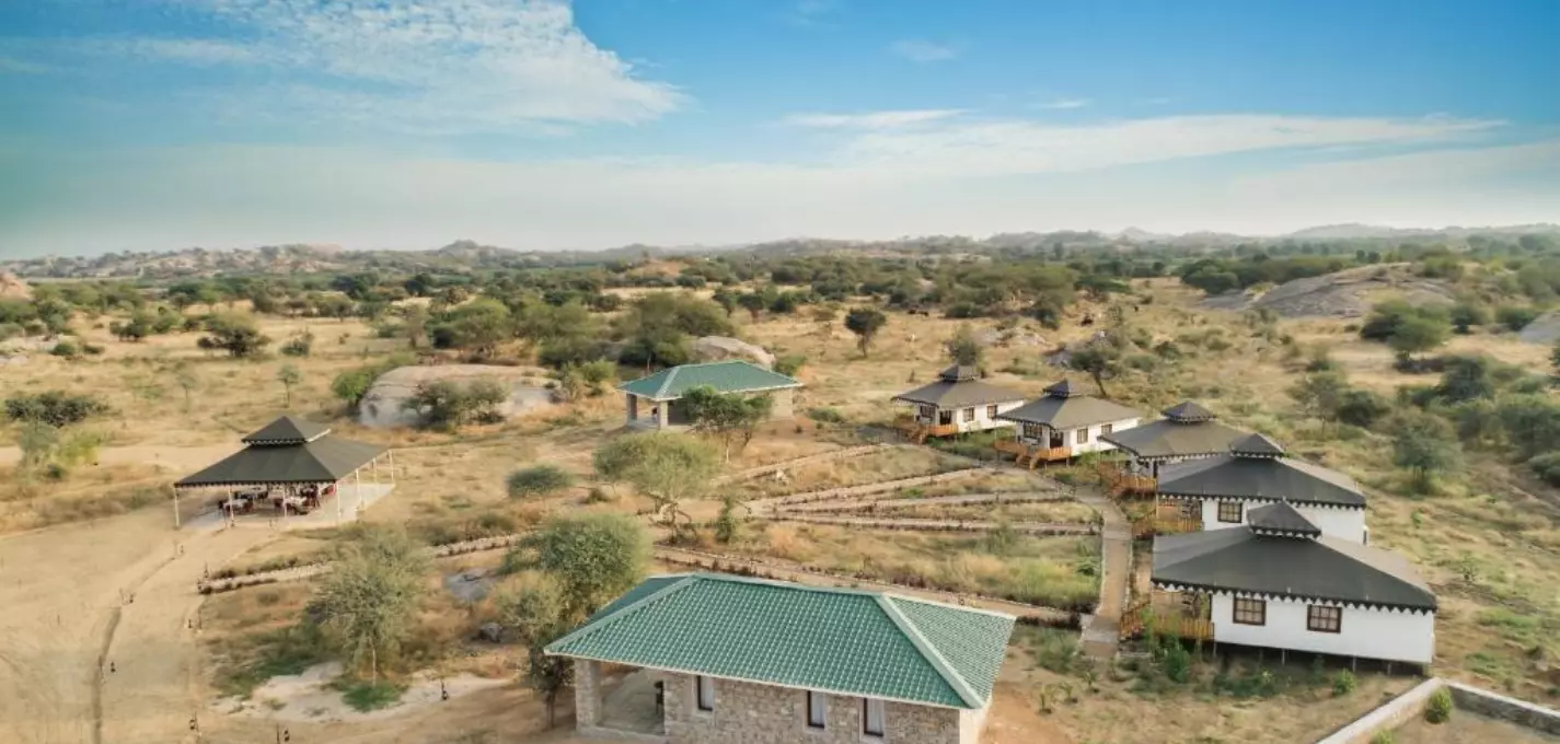 Jawai Leopard Safari